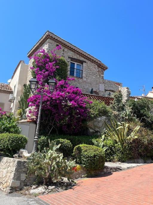 Apartment Strelizia - New Old For 4 Ac Antibes